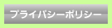 プライバシーポリシー・免責事項・当サイト注意事項